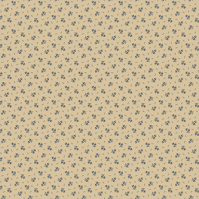 55698-8-1-015Ud00000GR83WIAT.jpg