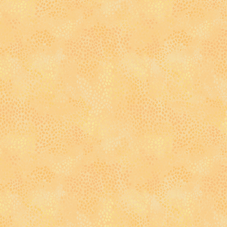55706-1-1-015Ud00000GPp4YIAT.jpg