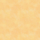 55706-1-1-015Ud00000GPp4YIAT.jpg