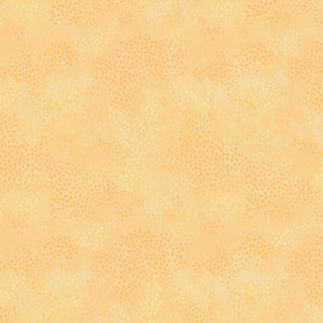 55706-1-1-015Ud00000GPp4YIAT.jpg