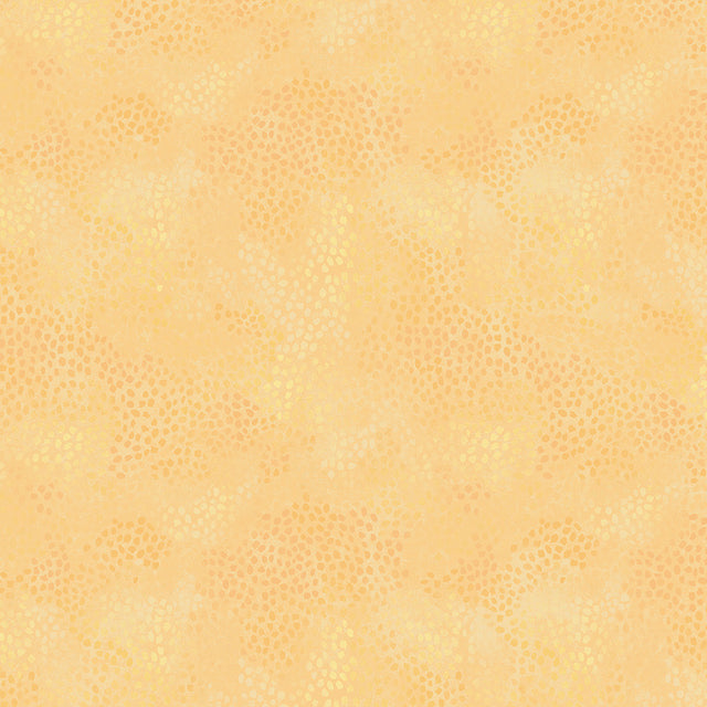 55706-1-1-015Ud00000GPp4YIAT.jpg