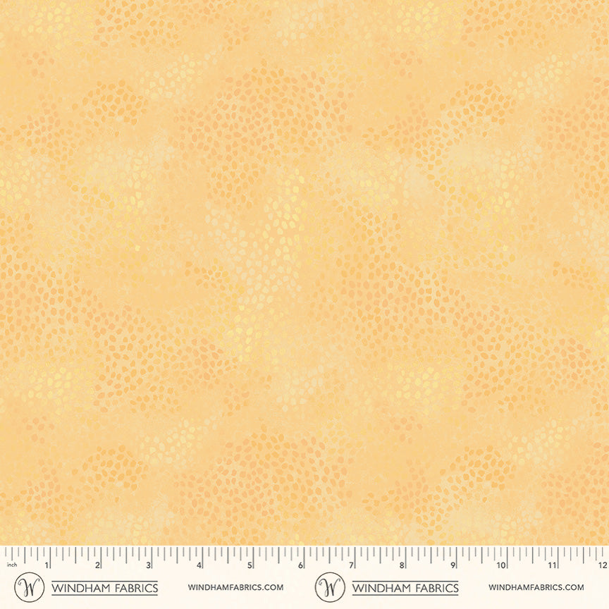 55706-1-2-015Ud00000GPp4ZIAT.jpg