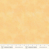 55706-1-2-015Ud00000GPp4ZIAT.jpg