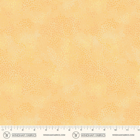 55706-1-2-015Ud00000GPp4ZIAT.jpg