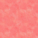 55706-10-1-015Ud00000GPp1KIAT.jpg