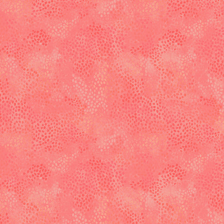 55706-10-1-015Ud00000GPp1KIAT.jpg