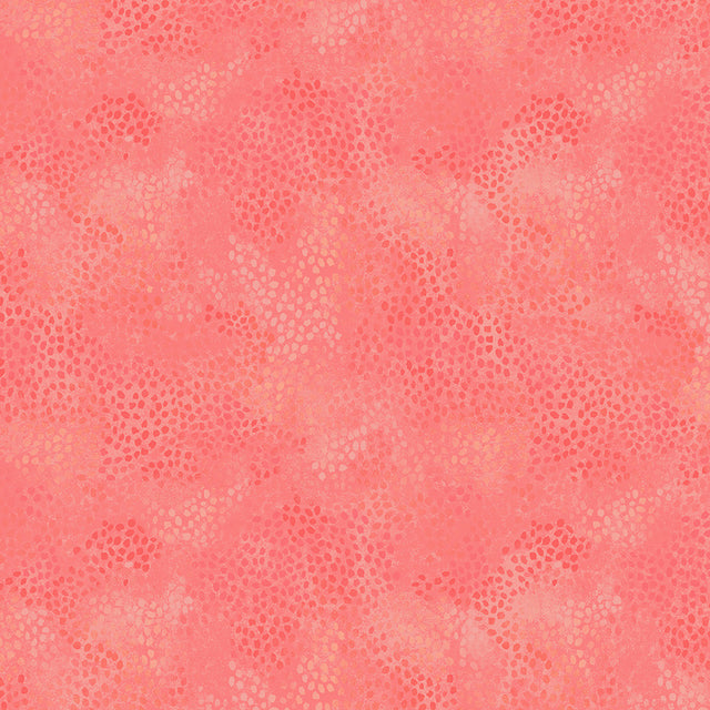 55706-10-1-015Ud00000GPp1KIAT.jpg