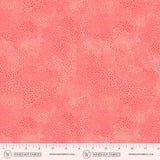 55706-10-2-015Ud00000GPp1LIAT.jpg