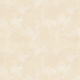 55706-6-1-015Ud00000GPoziIAD.jpg