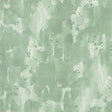 55710-10-1-015Ud00000H6TiIIAV.jpg