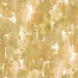 55710-5-1-015Ud00000H6ShPIAV.jpg