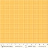 55803L-16-2-015Ud00000HXOPzIAP.jpg