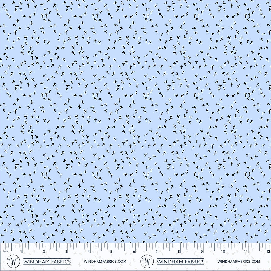 55822-1-2-015Ud00000H6VoxIAF.jpg