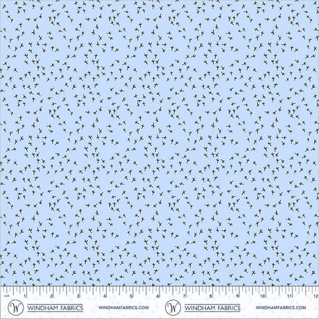 55822-1-2-015Ud00000H6VoxIAF.jpg