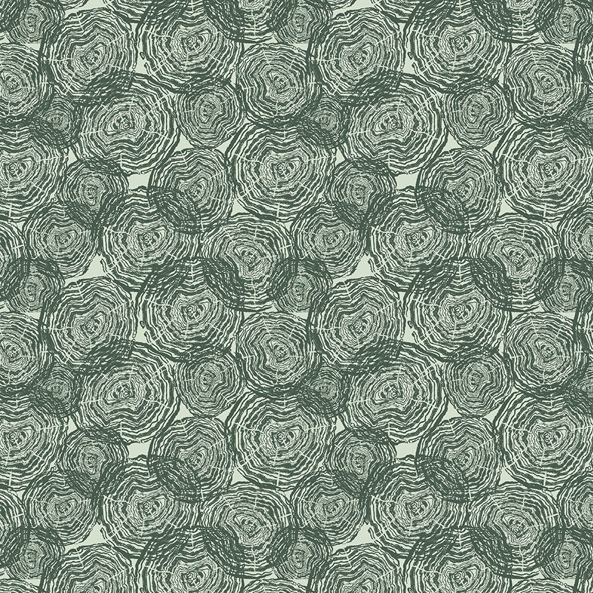 55834D-3-1-015Ud00000Gu4EEIAZ.jpg