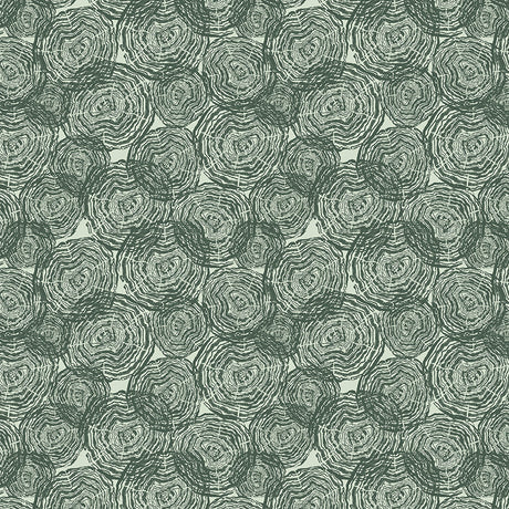 55834D-3-1-015Ud00000Gu4EEIAZ.jpg