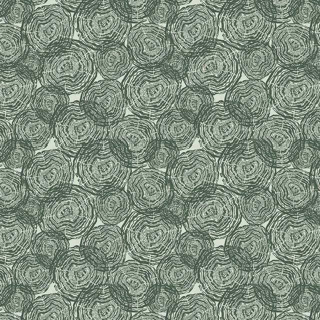 55834D-3-1-015Ud00000Gu4EEIAZ.jpg