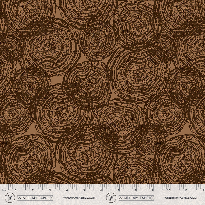 55836DW-1DES-2-015Ud00000GuEWxIAN.jpg