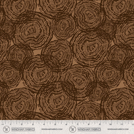 55836DW-1DES-2-015Ud00000GuEWxIAN.jpg