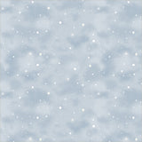 55850D-3-1-015Ud00000H6UOEIA3.jpg