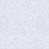 55860D-1-1-015Ud00000HNn34IAD.jpg
