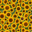 55884D-1-1-015Ud00000HNn4gIAD.jpg