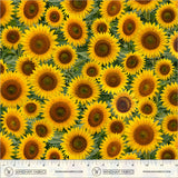 55884D-1-2-015Ud00000HNn4hIAD.jpg