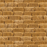 55885D-1-1-015Ud00000HNnCkIAL.jpg