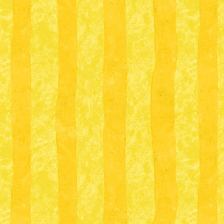55894D-1-1-015Ud00000IO594IAD.jpg