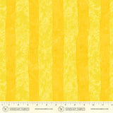 55894D-1-2-015Ud00000IO595IAD.jpg
