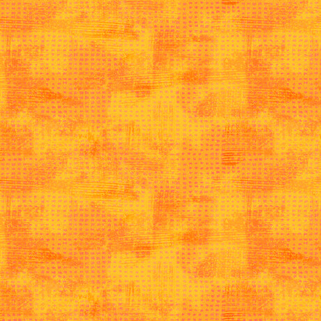 55898D-5-1-015Ud00000IO0VzIAL.jpg