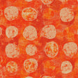 55902D-9-1-015Ud00000IO43KIAT.jpg