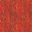 55904D-11-1-015Ud00000IO3gkIAD.jpg