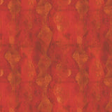 55904D-11-1-015Ud00000IO3gkIAD.jpg