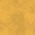 56055D-8-1-015Ud00000I9UPXIA3.jpg