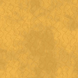 56055D-8-1-015Ud00000I9UPXIA3.jpg