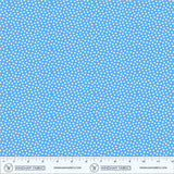 56062-2-2-015Ud00000IO1NDIA1.jpg