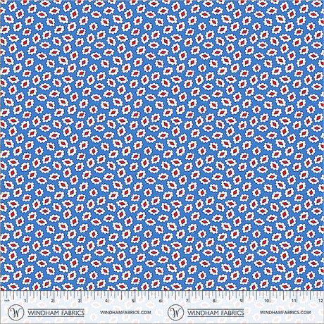 56065-2-2-015Ud00000IO1gZIAT.jpg