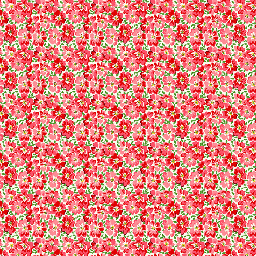 56066-1-1-015Ud00000IO1iAIAT.jpg