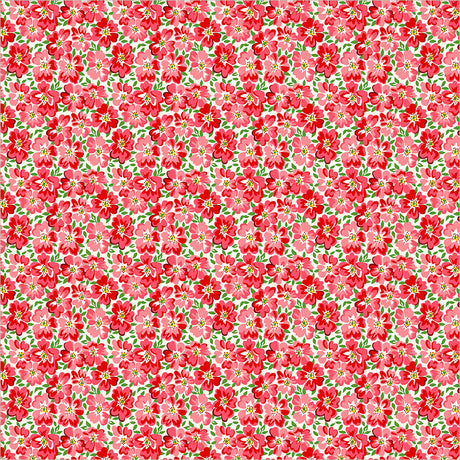 56066-1-1-015Ud00000IO1iAIAT.jpg