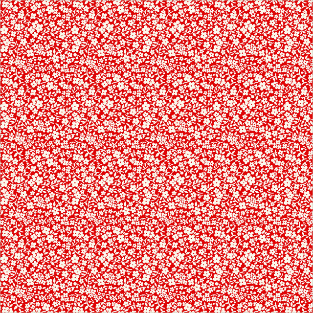 56067-1-1-015Ud00000IO1ocIAD.jpg