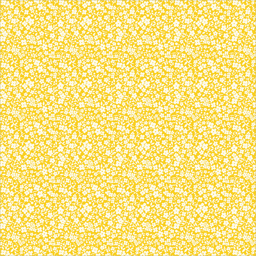 56067-5-1-015Ud00000IO1qEIAT.jpg