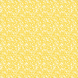 56067-5-1-015Ud00000IO1qEIAT.jpg