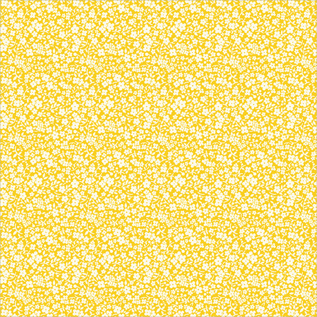 56067-5-1-015Ud00000IO1qEIAT.jpg