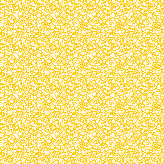 56067-5-1-015Ud00000IO1qEIAT.jpg