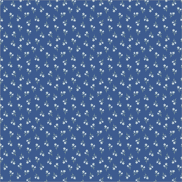 56118-1-1-015Ud00000IMlyoIAD.jpg