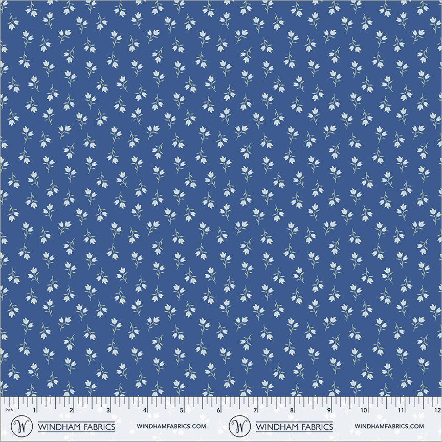 56118-1-2-015Ud00000IMlypIAD.jpg