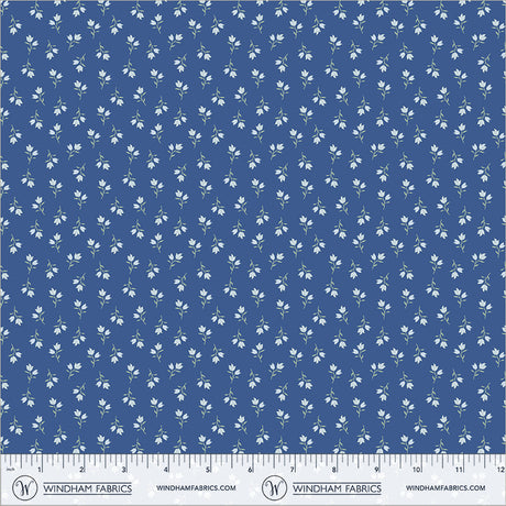 56118-1-2-015Ud00000IMlypIAD.jpg