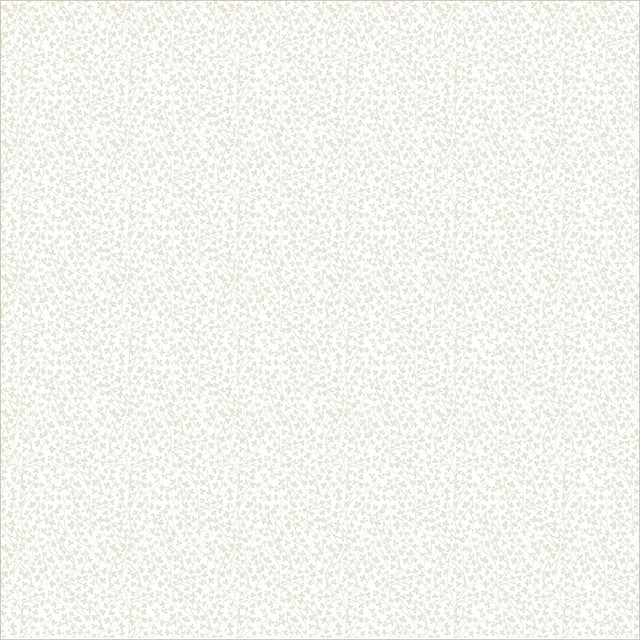 56120-5-1-015Ud00000IMm8UIAT.jpg