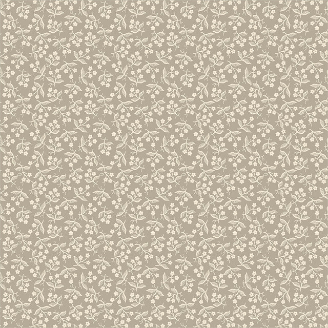 56125-1-1-015Ud00000IO5lmIAD.jpg